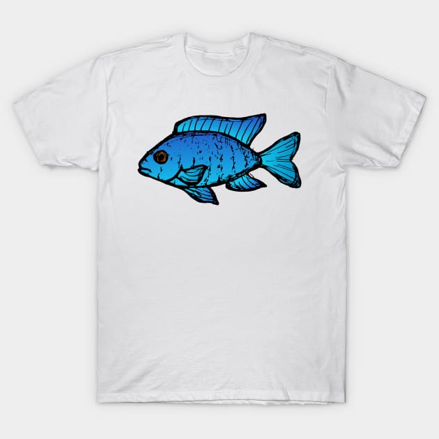 Blue peacock cichlid - freshwater aquarium fish T-Shirt by DigitalShards